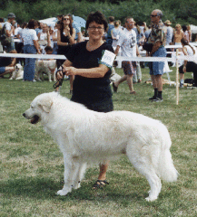 Liettua 3.gif (48514 bytes)