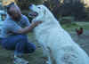 abruzzo and tony 1.jpg (88376 bytes)