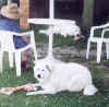 bone time.jpg (57245 bytes)