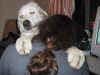 cuddles1.jpg (78303 bytes)