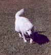 here i come dad 5.jpg (31916 bytes)