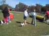 school  3   31.8.03.jpg (104084 bytes)