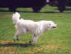 shadow 12.jpg (64014 bytes)