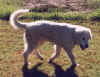 shadow 2.jpg (52068 bytes)