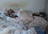 wake up tony you'll be late 2.jpg (41612 bytes)