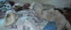 wake up tony you'll be late 6.jpg (54776 bytes)