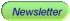 newsletter button