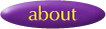 about the author
