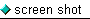 screen shot
