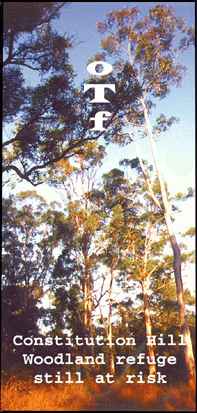 Old Toongabbie Forest image
